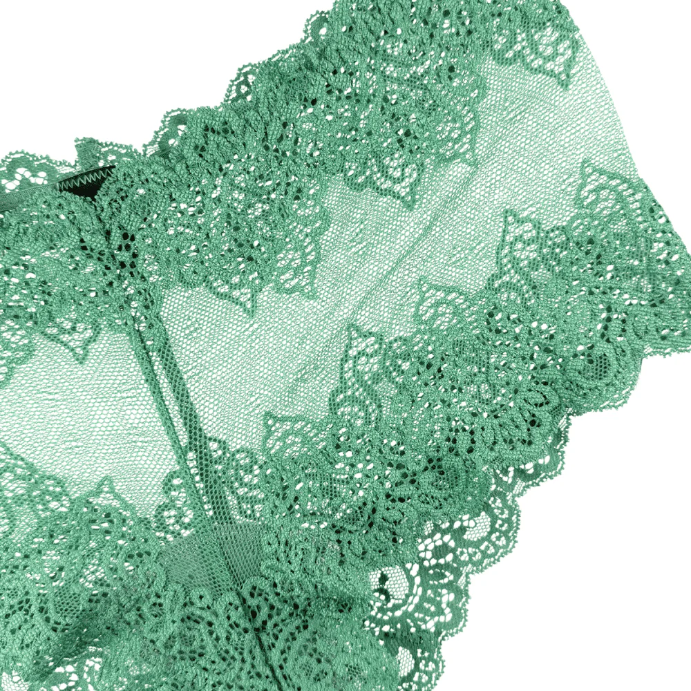 Only Hearts So Fine Lace Hipster - Image 5