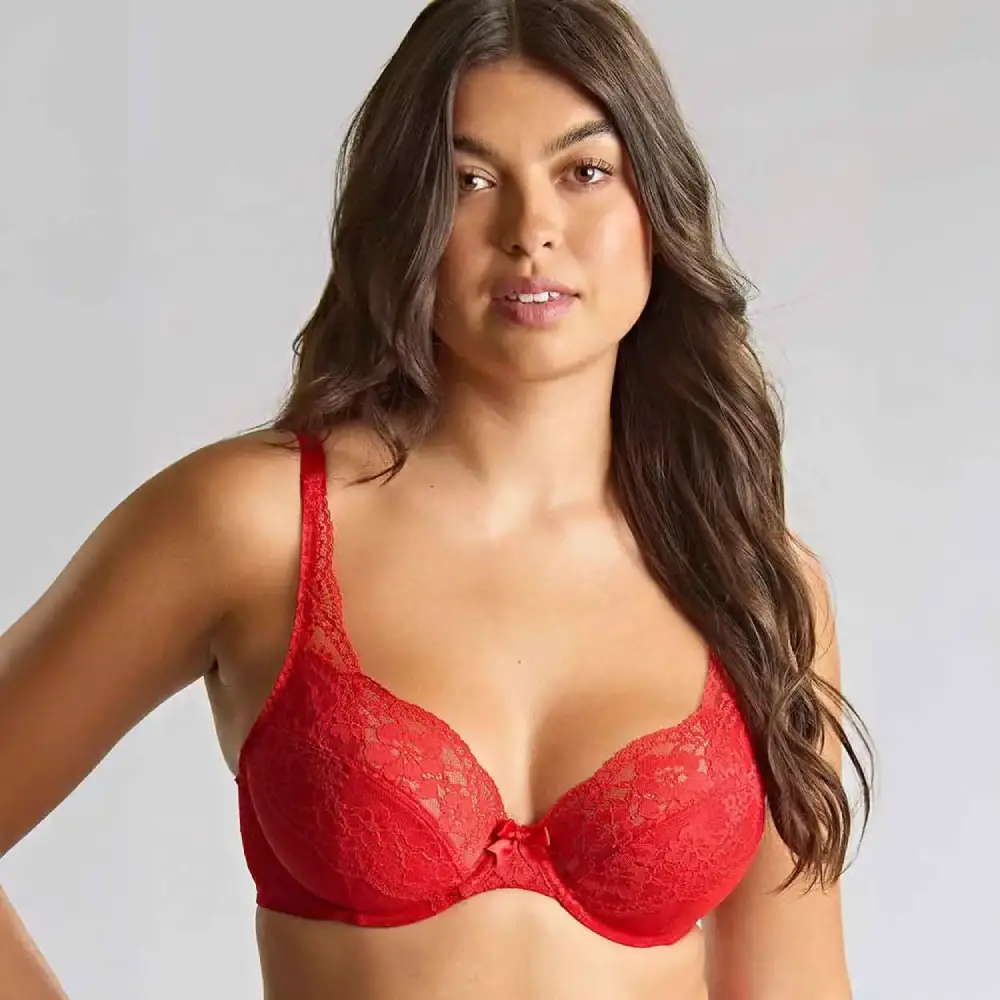 Panache Heidi Plunge Bra - Image 2