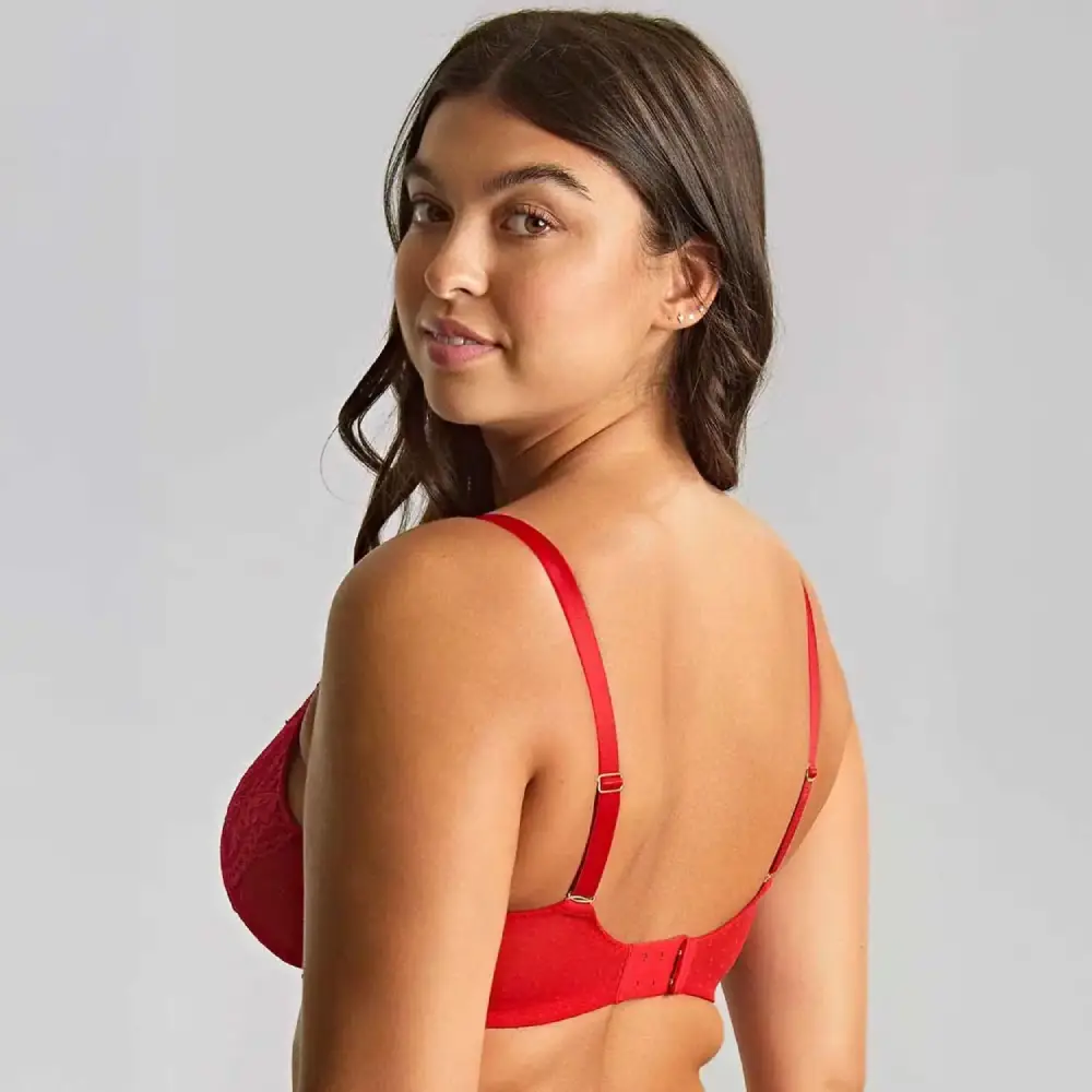 Panache Heidi Plunge Bra - Image 3