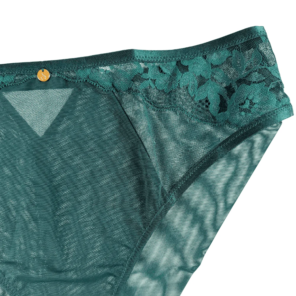 Sculptresse Josephine High Leg Brief - Image 4